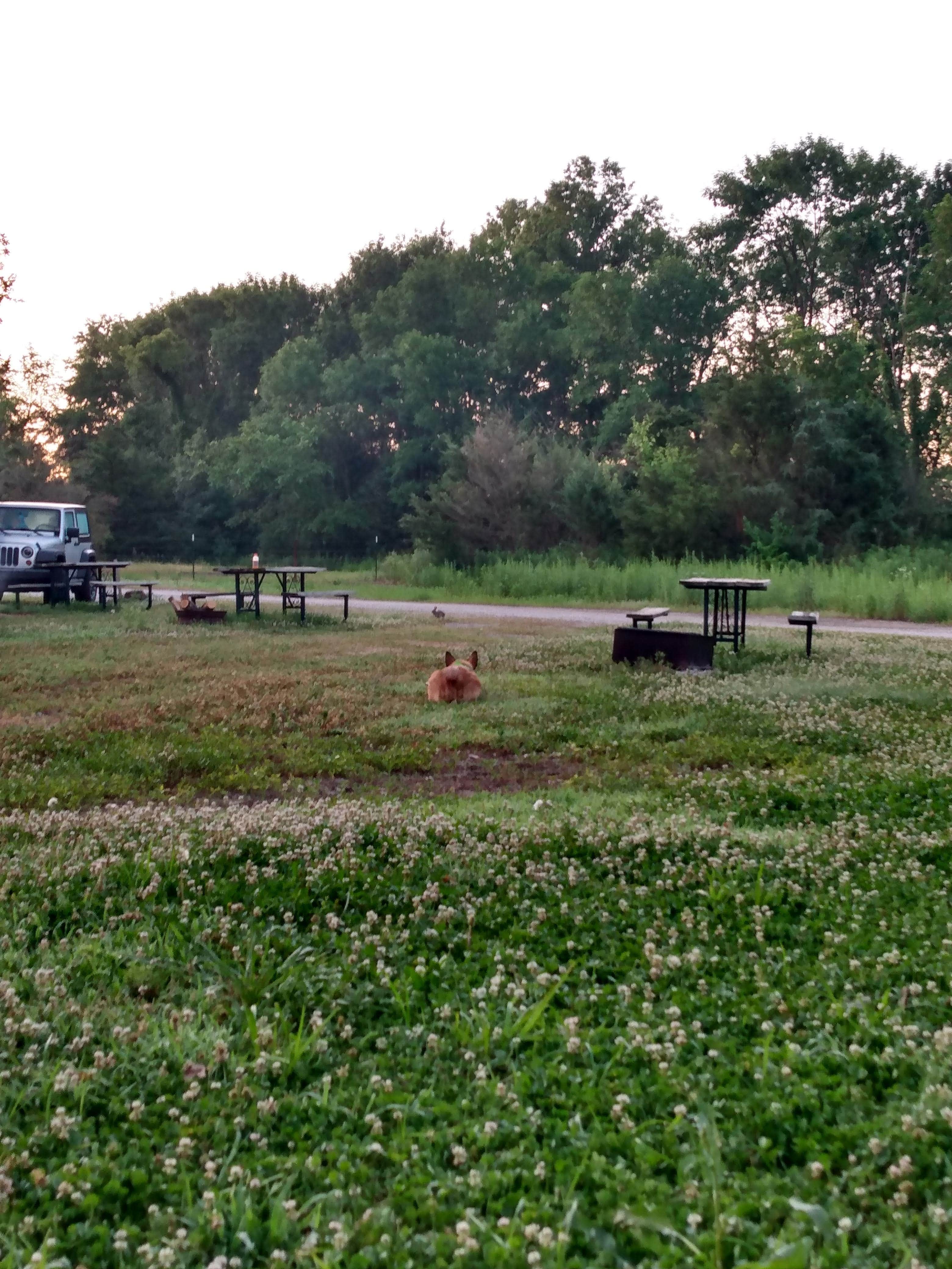 Camping near Roberts Bluff Access: Katy Roundhouse, New Franklin, Missouri