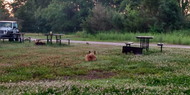 Camper submitted image from Katy Roundhouse