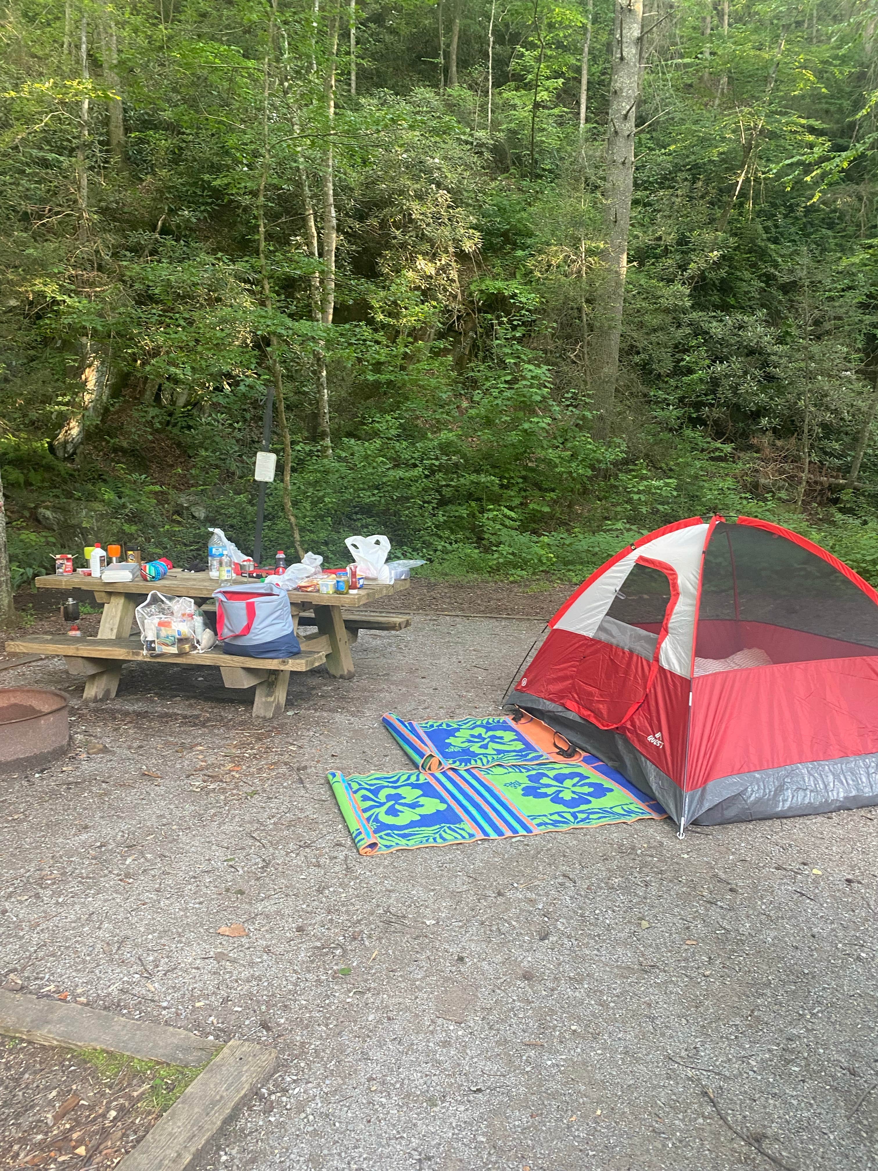 nicole D.'s photo at Thunder Rock Campground near Copperhill, TN