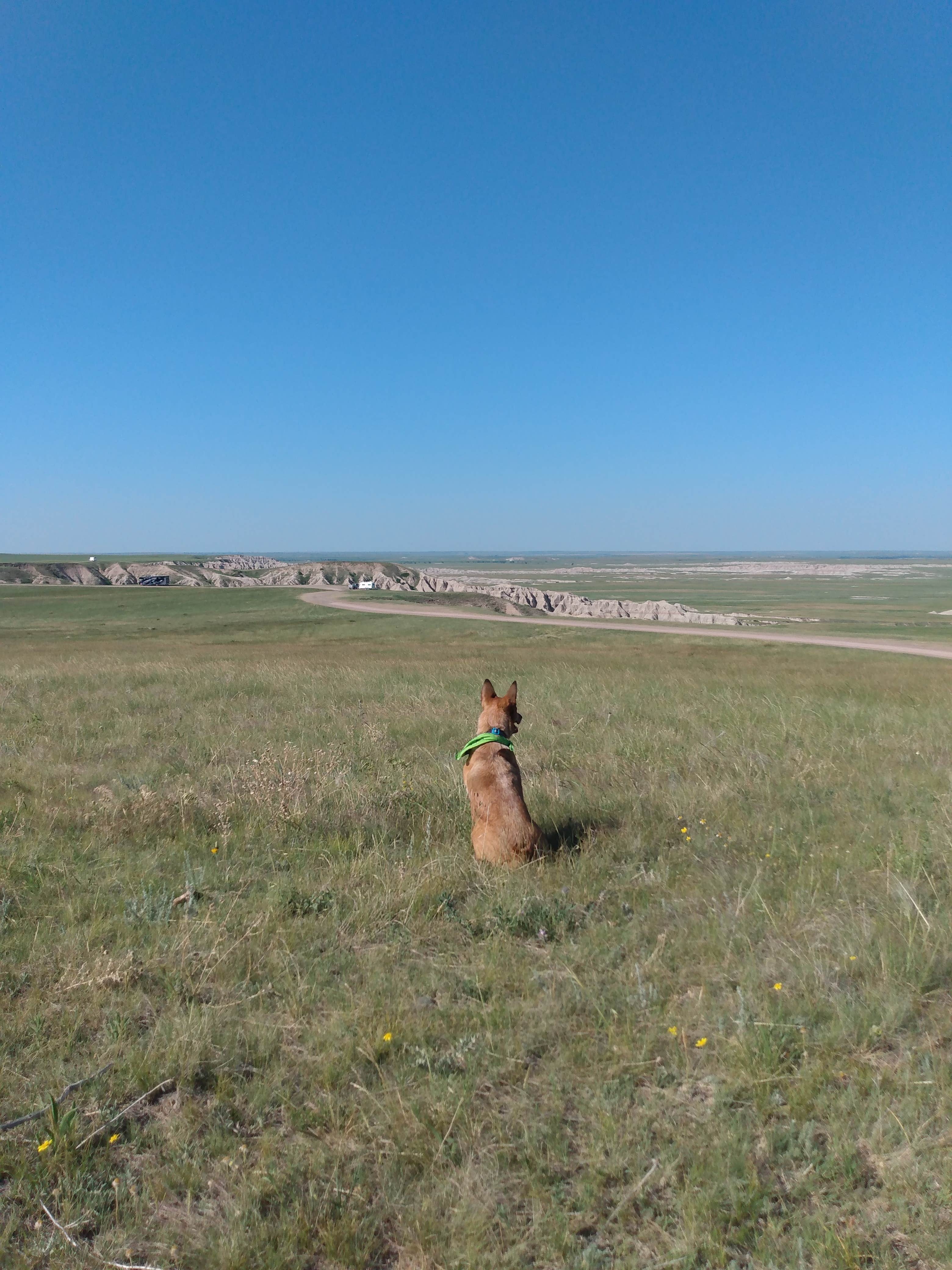 Luke L.'s photo of camping with pets at Buffalo Gap Dispersed Camping near Interior, SD