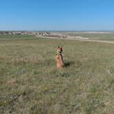 Review photo of Buffalo Gap Dispersed Camping by Luke L., June 27, 2021