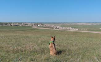 Luke L.'s photo of camping with pets at Buffalo Gap Dispersed Camping near Badlands National Park