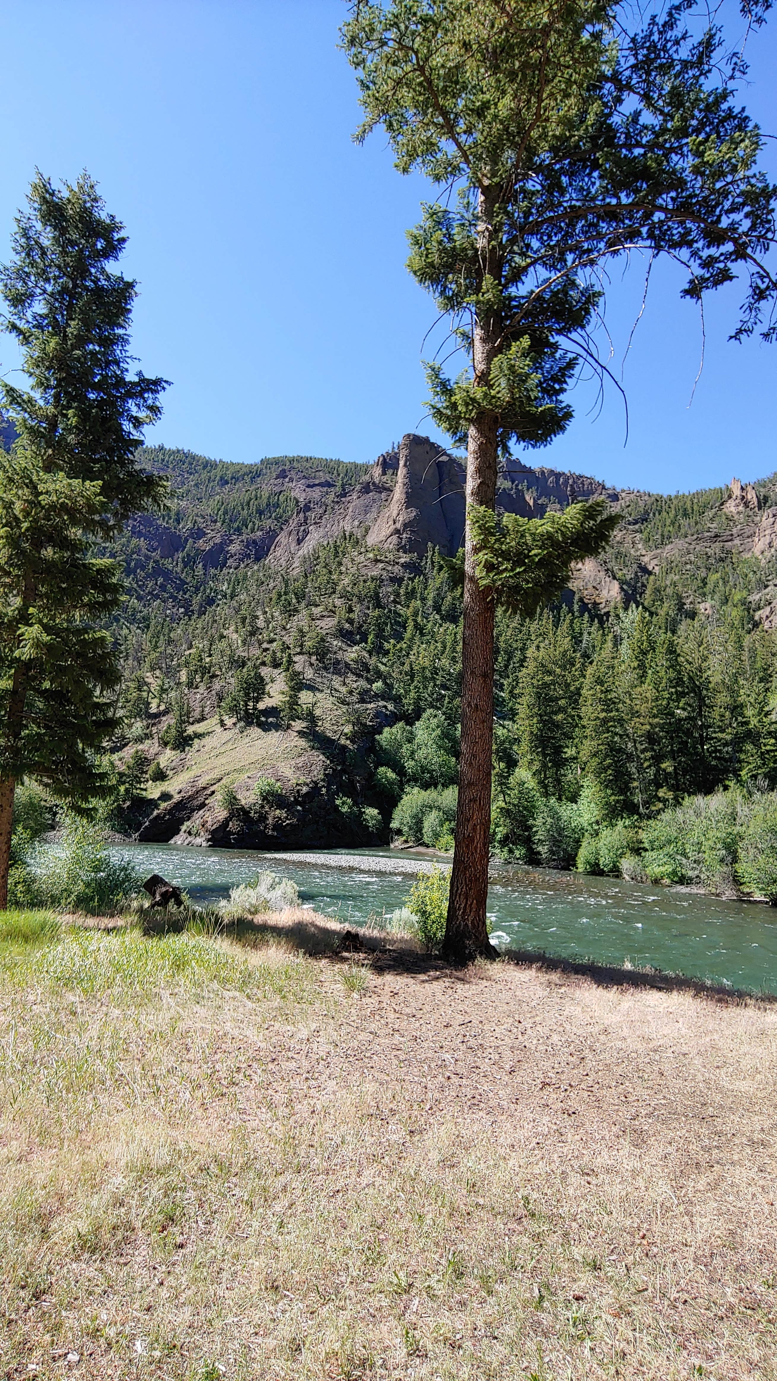 Camper-submitted photo at Newton Creek Campground near Shoshone National Forest