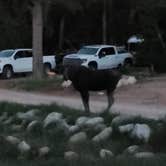 Review photo of Boulder Park Campground by Ryan , June 27, 2021