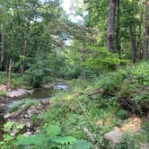 Review photo of Charlton Campground by Emily C., June 27, 2021