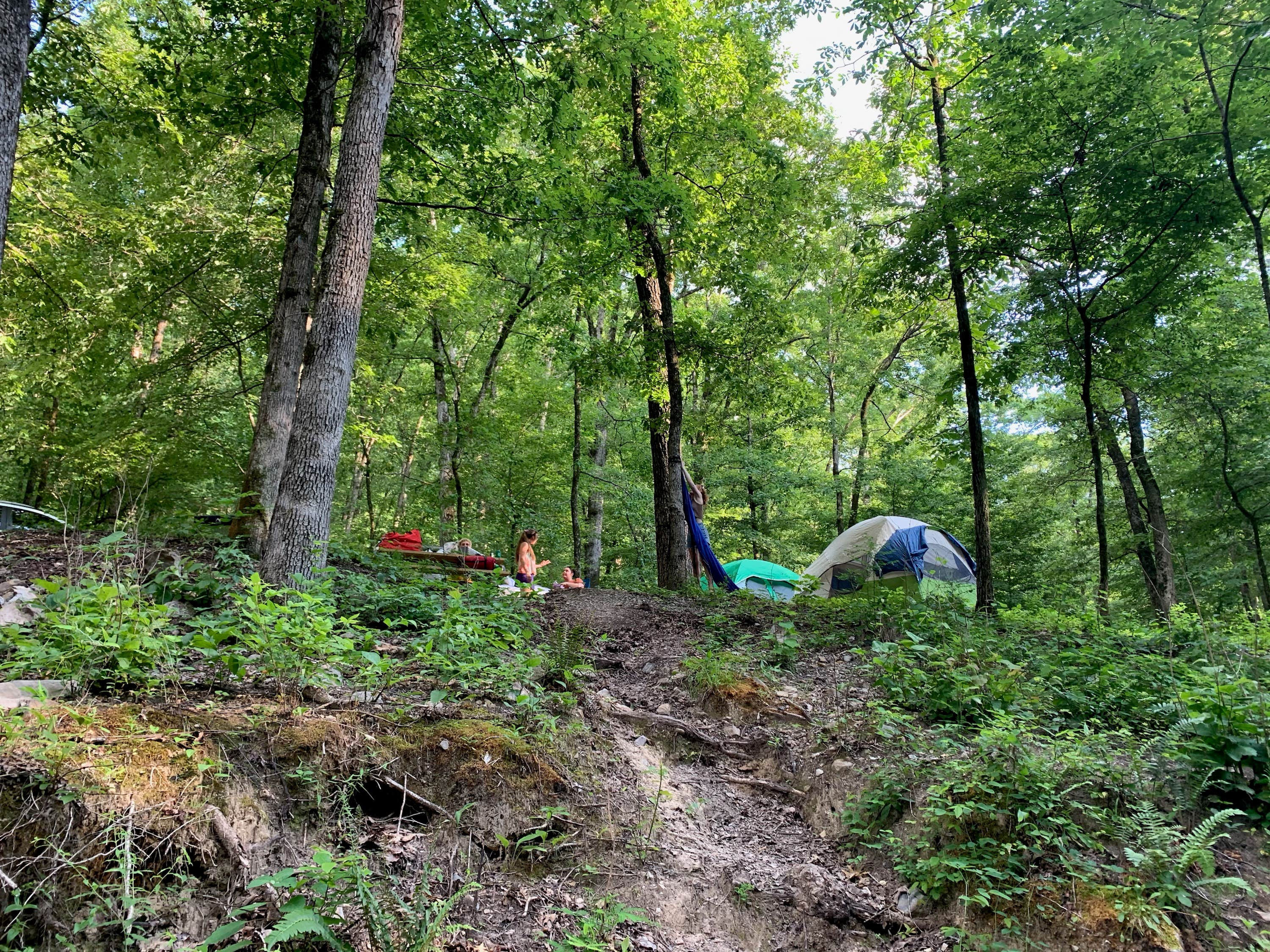 Emily C.'s photo at Charlton Campground near Ouachita Lake