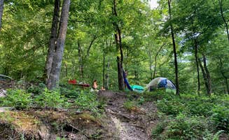 Emily C.'s photo at Charlton Campground near Ouachita Lake