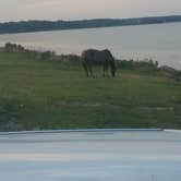 Review photo of Big Oaks Campground by rich  E., June 12, 2018