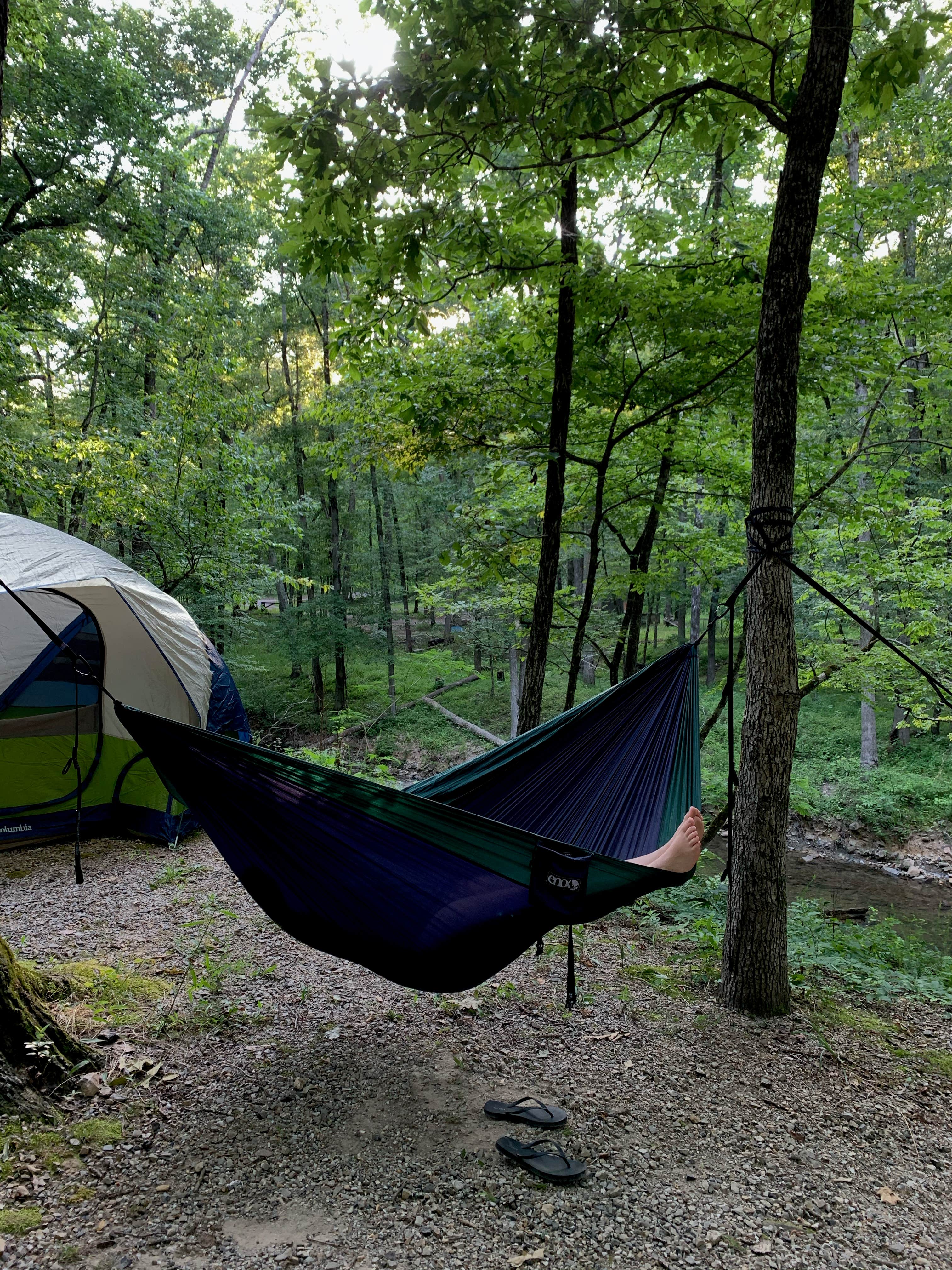 Emily C.'s photo at Charlton Campground near Ouachita Lake