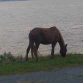 Review photo of Big Oaks Campground by rich  E., June 12, 2018