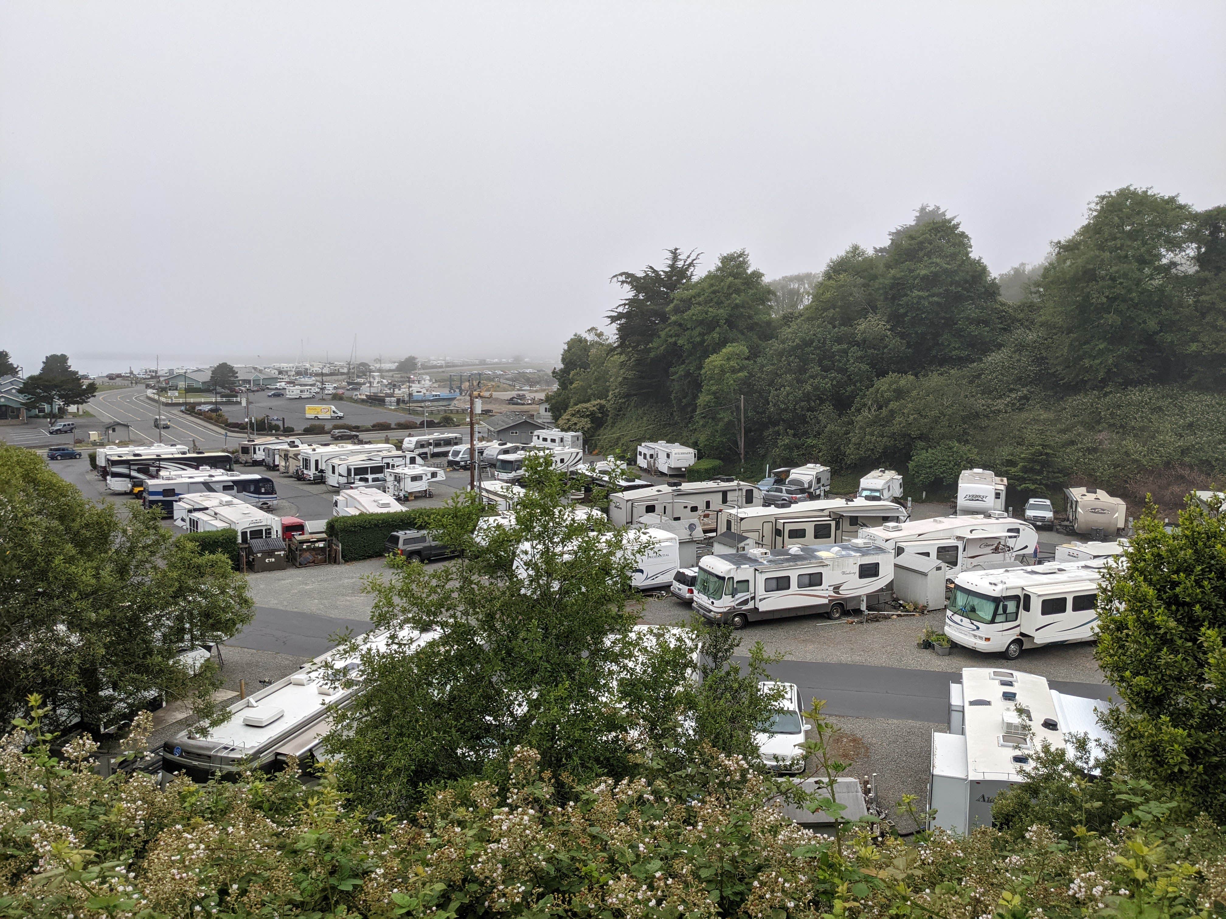 Camper submitted image from Driftwood RV Park - 5