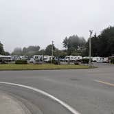 Review photo of Driftwood RV Park by Laura M., June 27, 2021