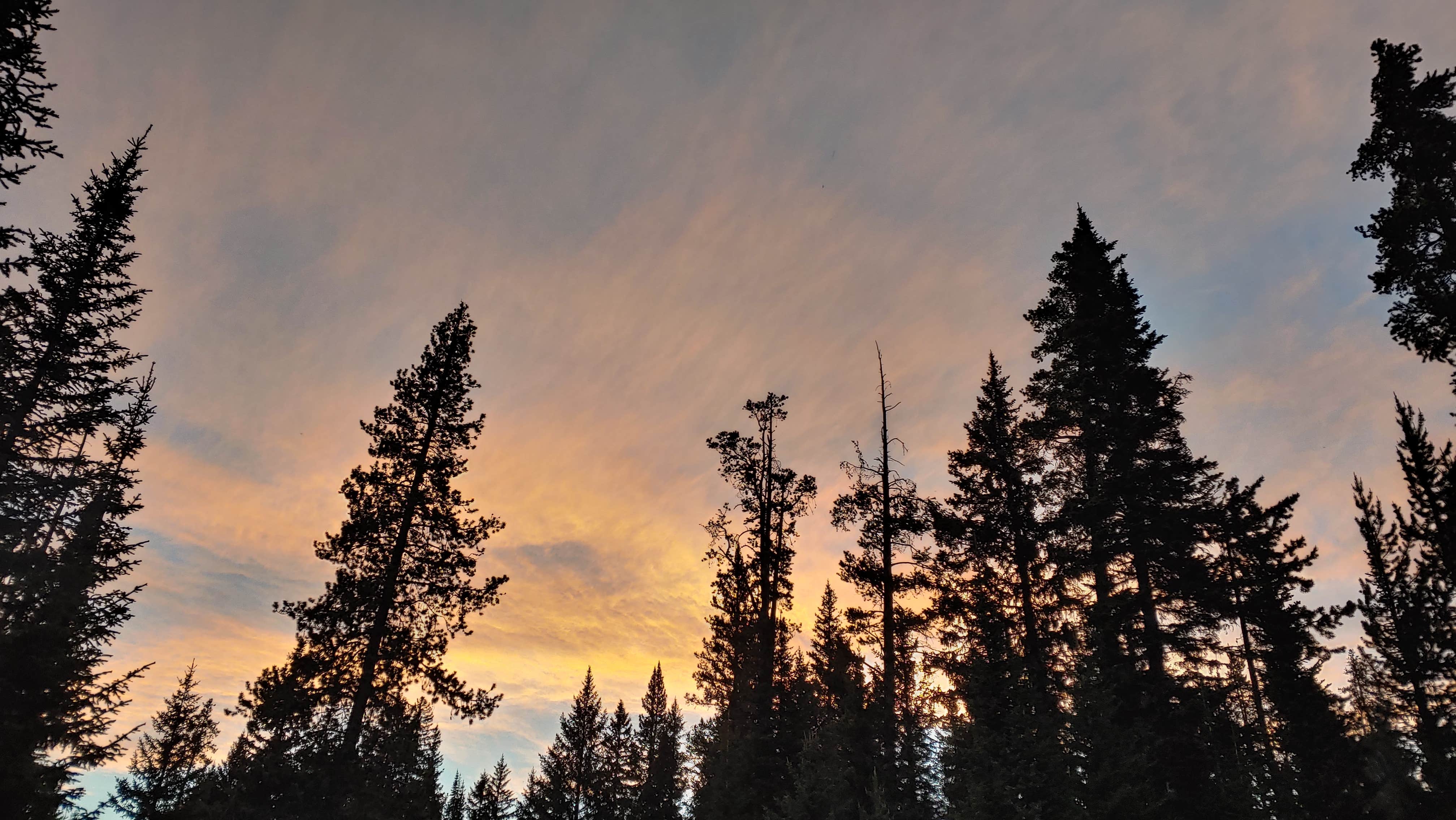 Camper submitted image from Soda Butte Campground - 2