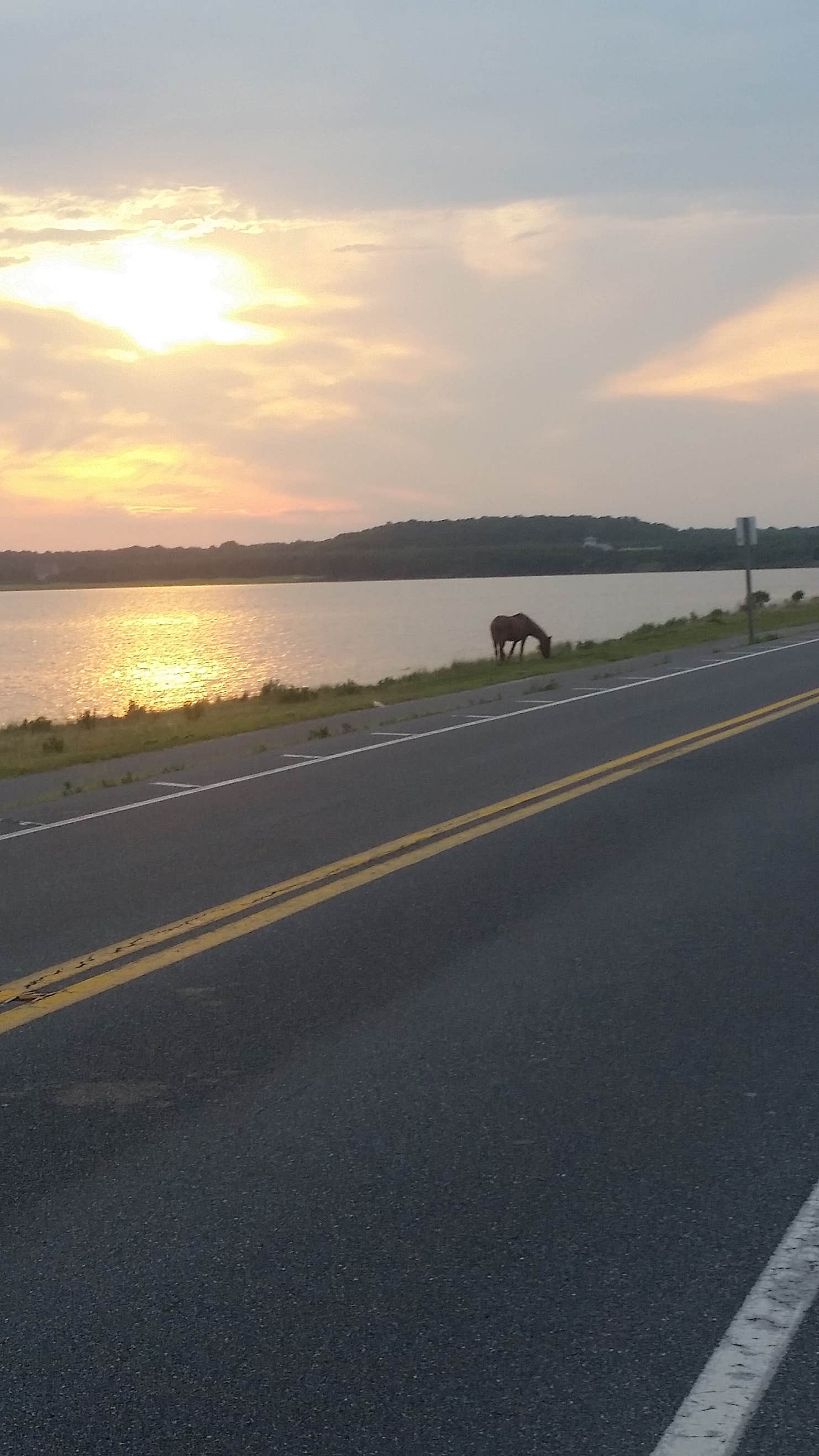 Big Oaks Campground Camping | The Dyrt