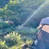 Review photo of Morefield Campground — Mesa Verde National Park by Laura S., June 27, 2021