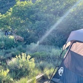 Review photo of Morefield Campground — Mesa Verde National Park by Laura S., June 27, 2021