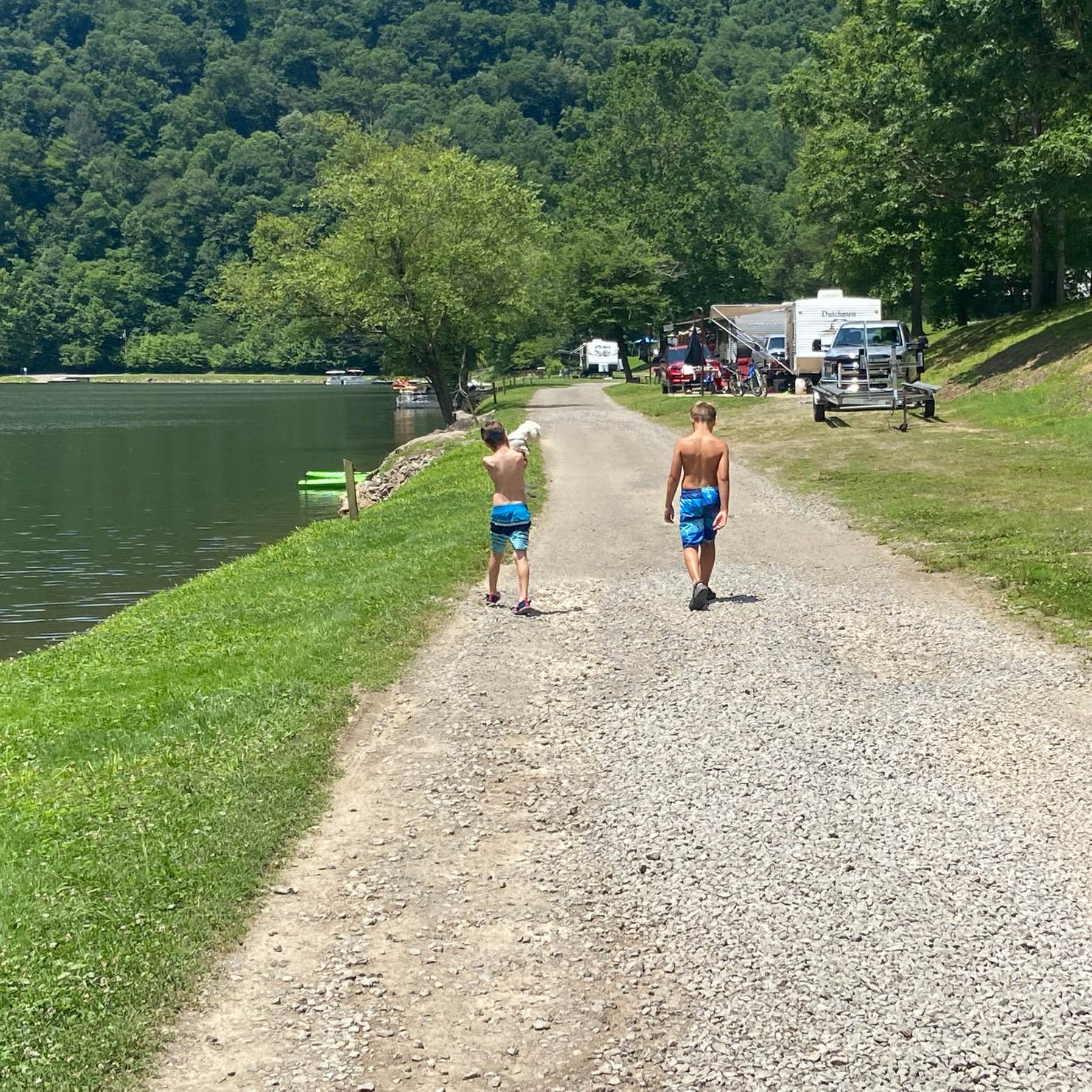 Best camping in Monongahela National Forest The Dyrt