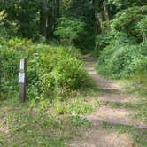 Review photo of Mill Creek Campground — Del Norte Coast Redwoods State Park by Kelsey G., June 27, 2021