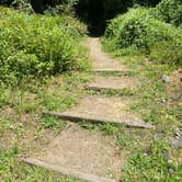 Review photo of Mill Creek Campground — Del Norte Coast Redwoods State Park by Kelsey G., June 27, 2021