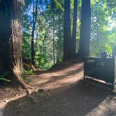 Review photo of Mill Creek Campground — Del Norte Coast Redwoods State Park by Kelsey G., June 27, 2021