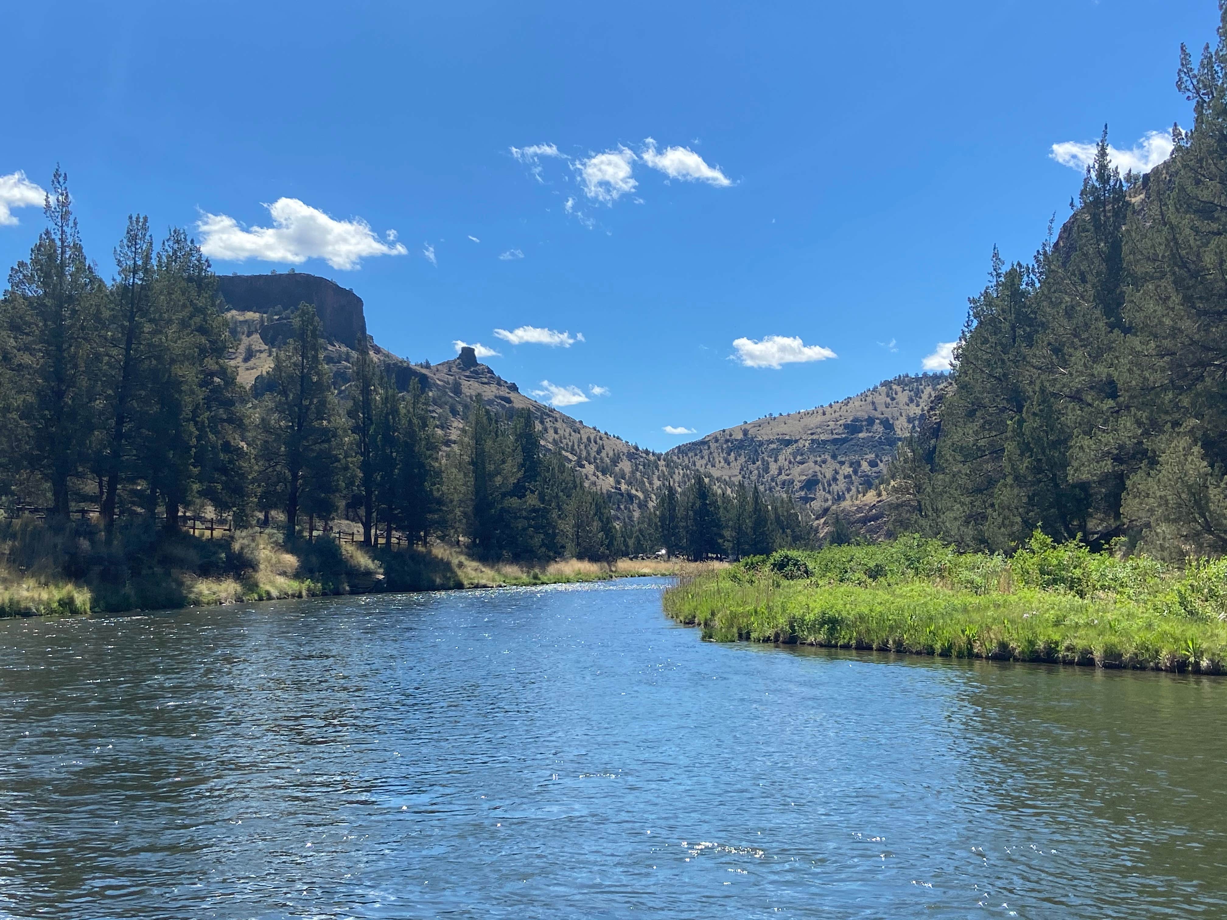 Camper submitted image from Chimney Rock Campground - 2