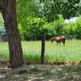 Review photo of Worland RV Park & Campground by Jane  M., June 27, 2021