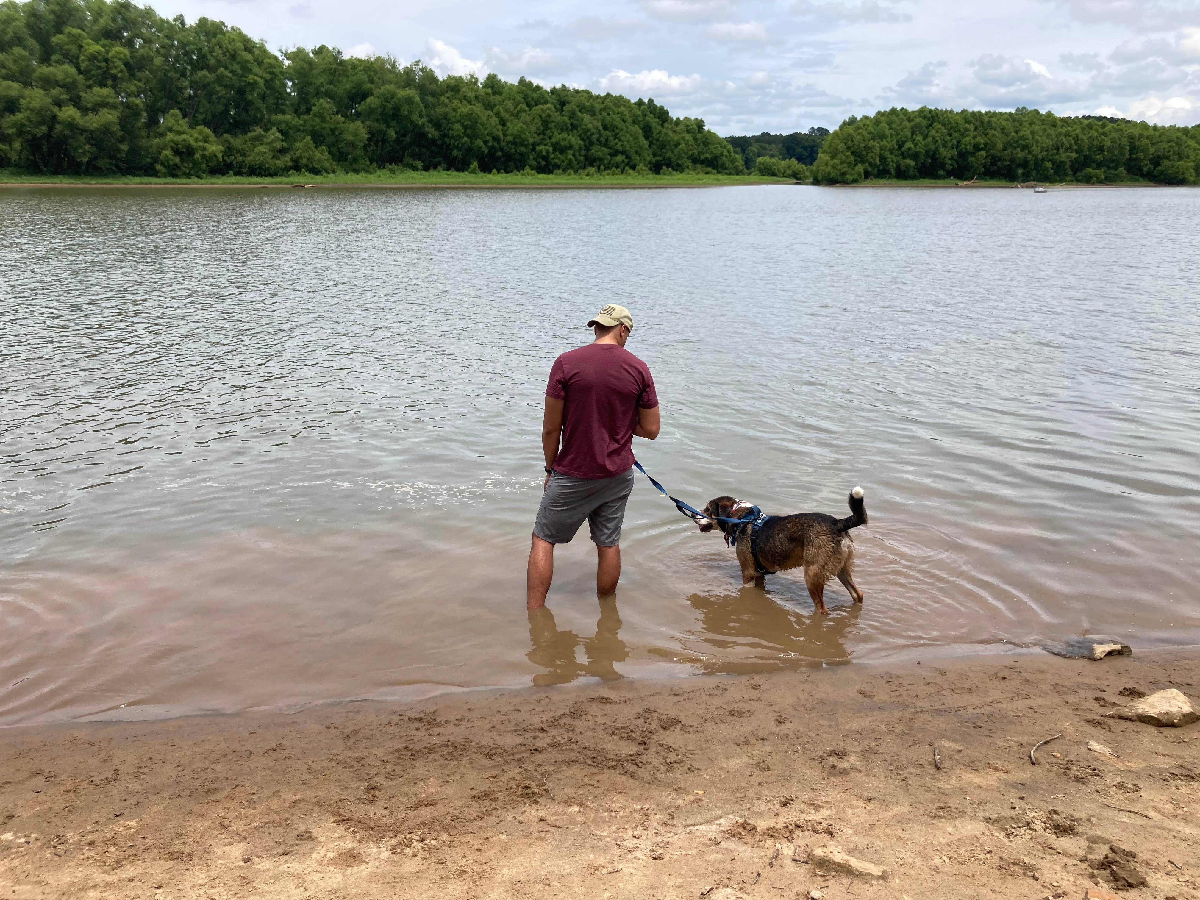 Katie's photo of camping with pets at Staunton River State Park Campground in Virginia