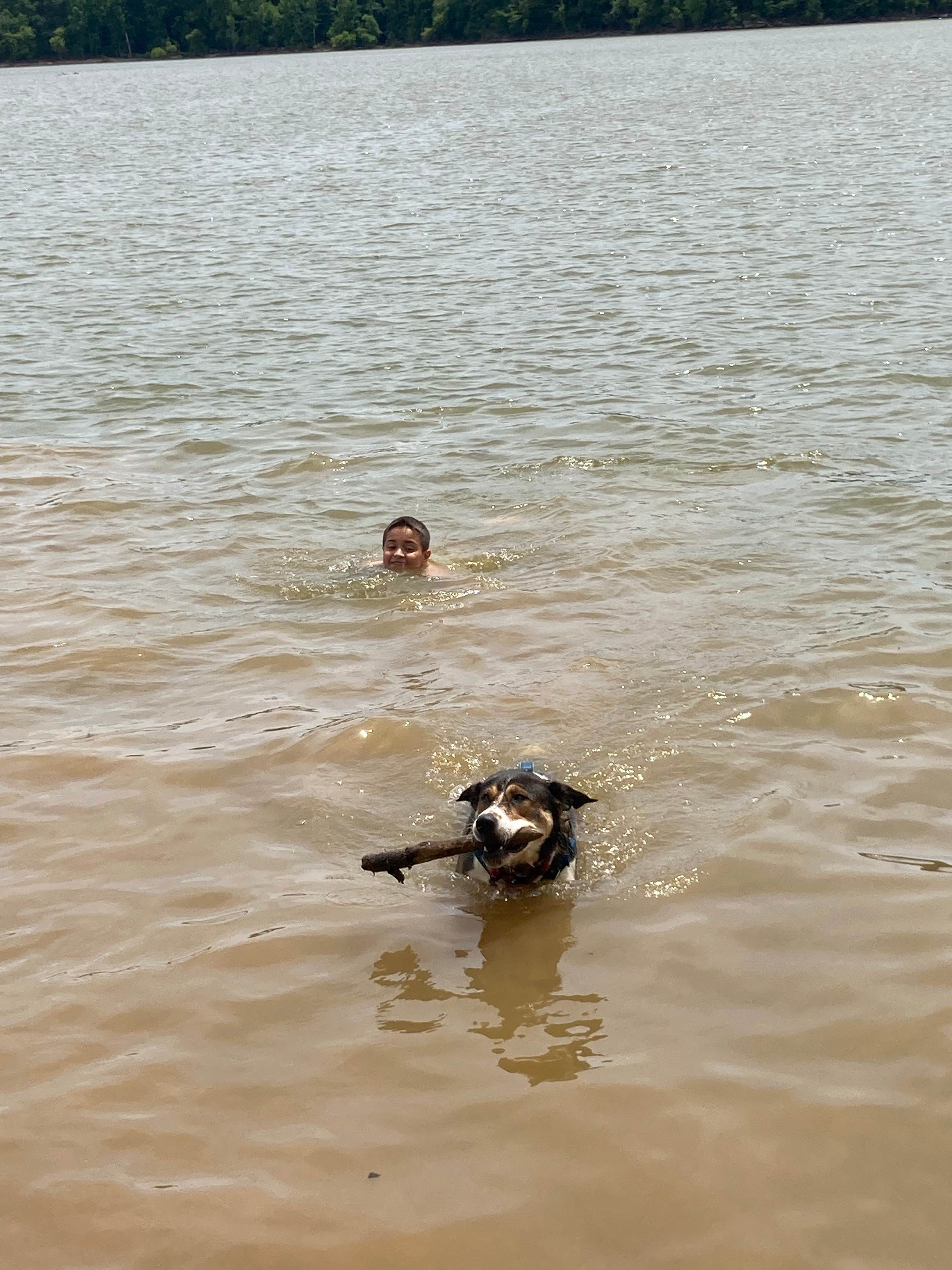 Katie's photo of camping with pets at Staunton River State Park Campground near Farmville, VA
