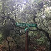 Review photo of Pfeiffer Big Sur State Park Campground by Kristina B., June 27, 2021