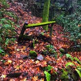 Review photo of Pfeiffer Big Sur State Park Campground by Kristina B., June 27, 2021