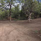 Review photo of Black Canyon Dispersed Camping by Treavor U., June 27, 2021