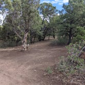 Review photo of Black Canyon Dispersed Camping by Treavor U., June 27, 2021