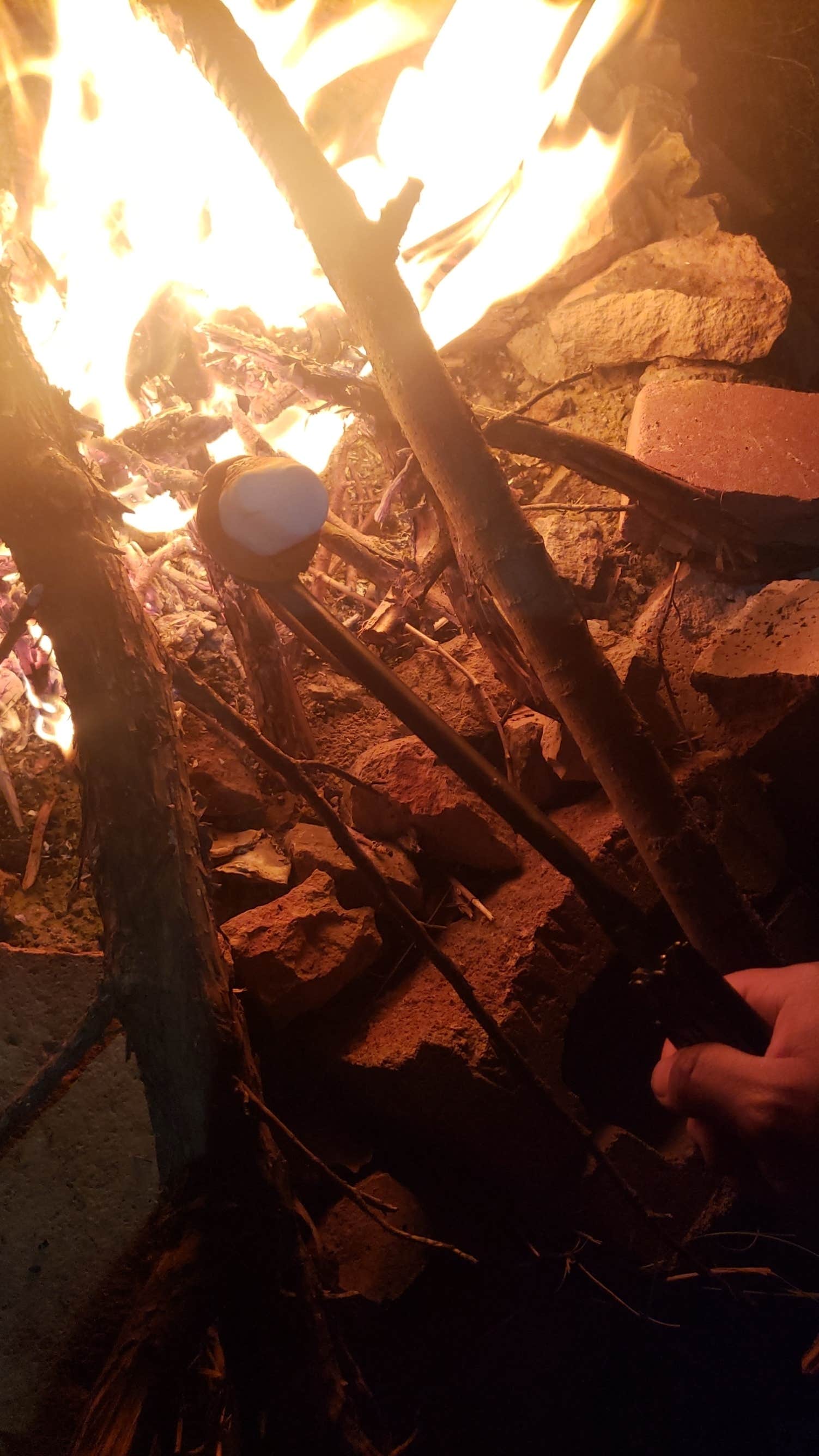 Camper-submitted photo at Randolph — Tuttle Creek State Park near Milford Lake