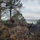 Review photo of Randolph - Tuttle Creek State Park by Chris S., June 27, 2021