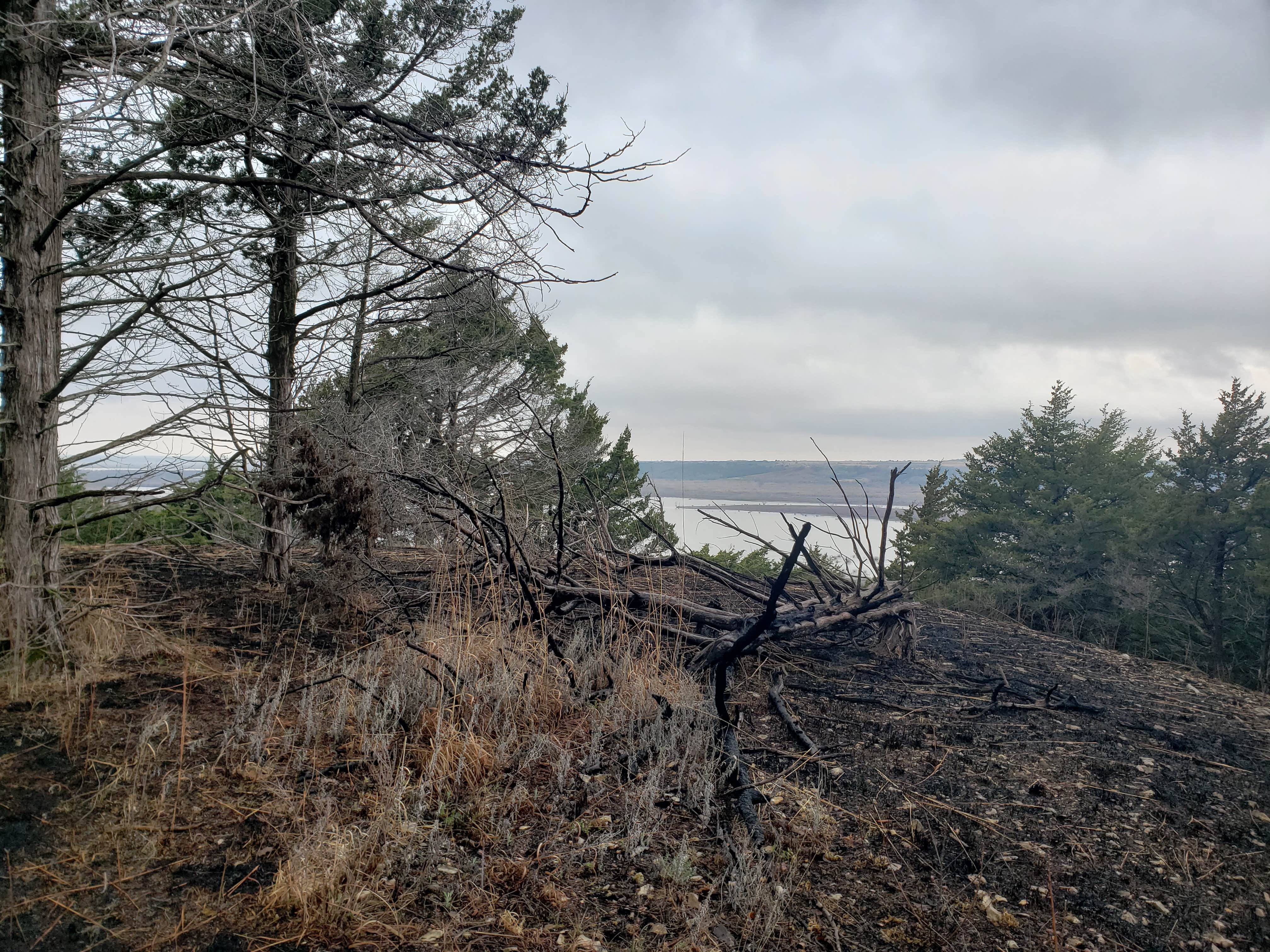 Camper submitted image from Randolph - Tuttle Creek State Park - 2