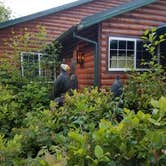 Review photo of Sea Ranch Resort by Ashley B., June 12, 2018