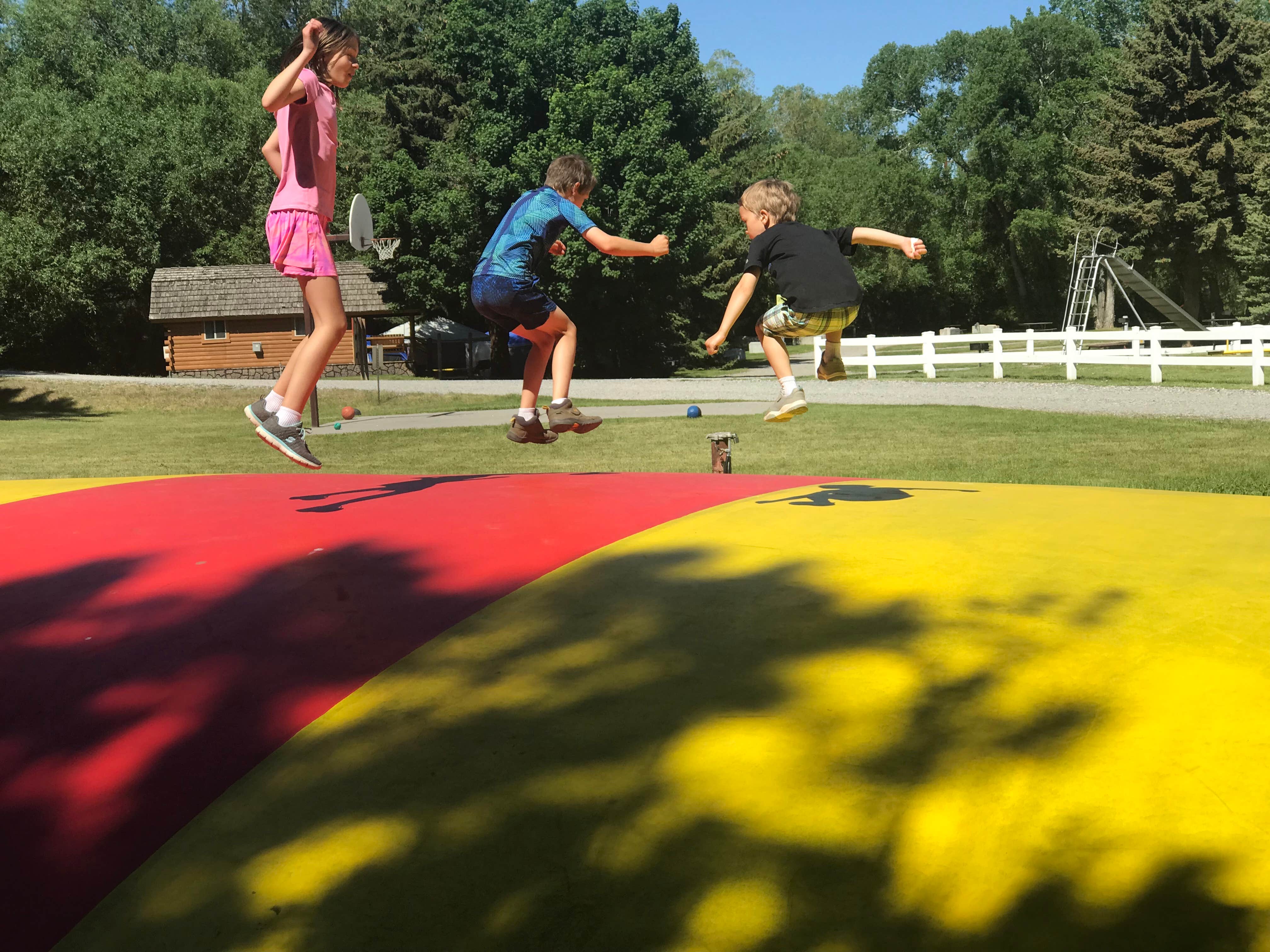 Camper submitted image from Big Timber-Greycliff KOA - 5