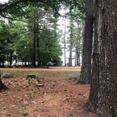 Review photo of Sebago Lake State Park Campground by cindy , June 27, 2021