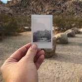 Review photo of Indian Cove Campground — Joshua Tree National Park by Kristina B., June 27, 2021