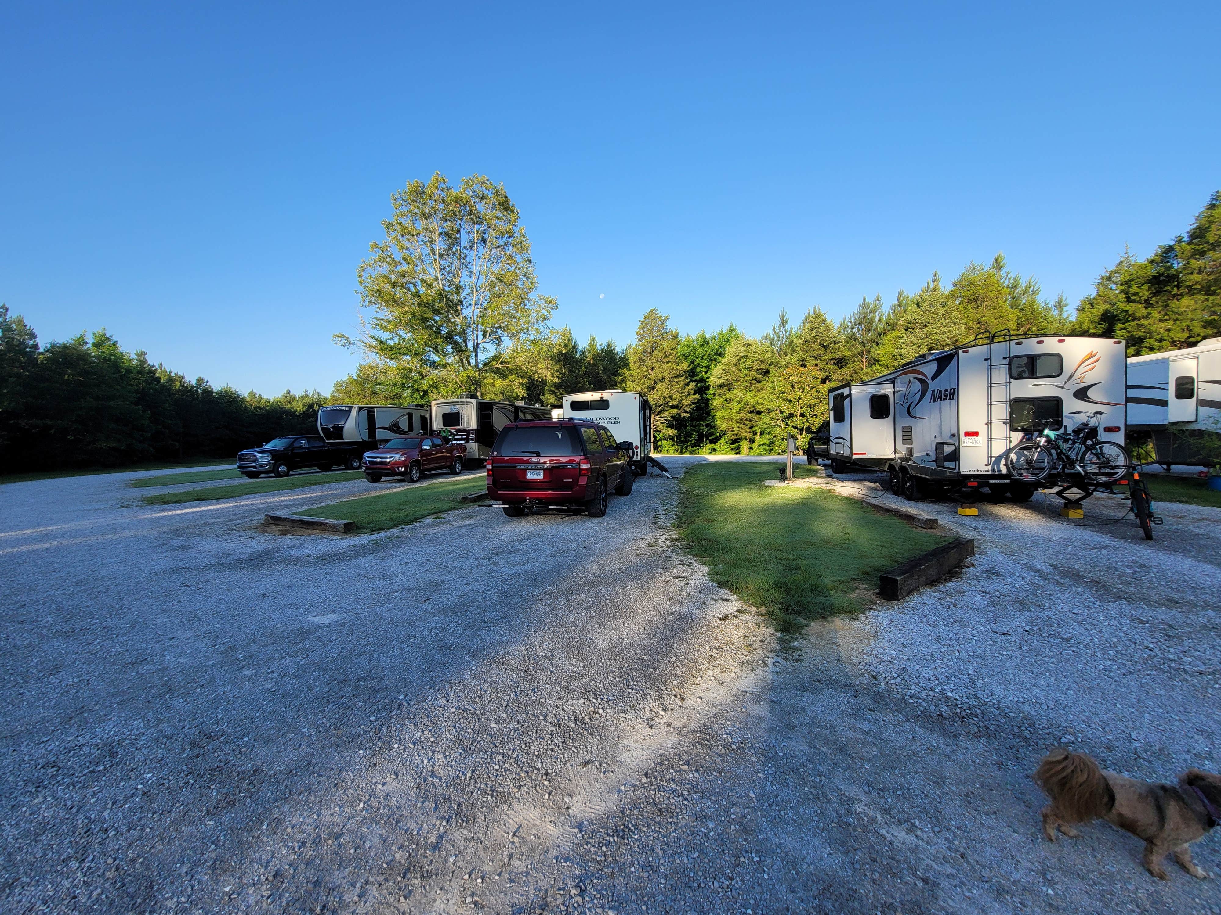 Chip K.'s photo of camping with pets at Cross City RV Park near Saltillo, MS