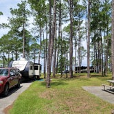 Review photo of Meaher State Park Campground by Chip K., June 27, 2021