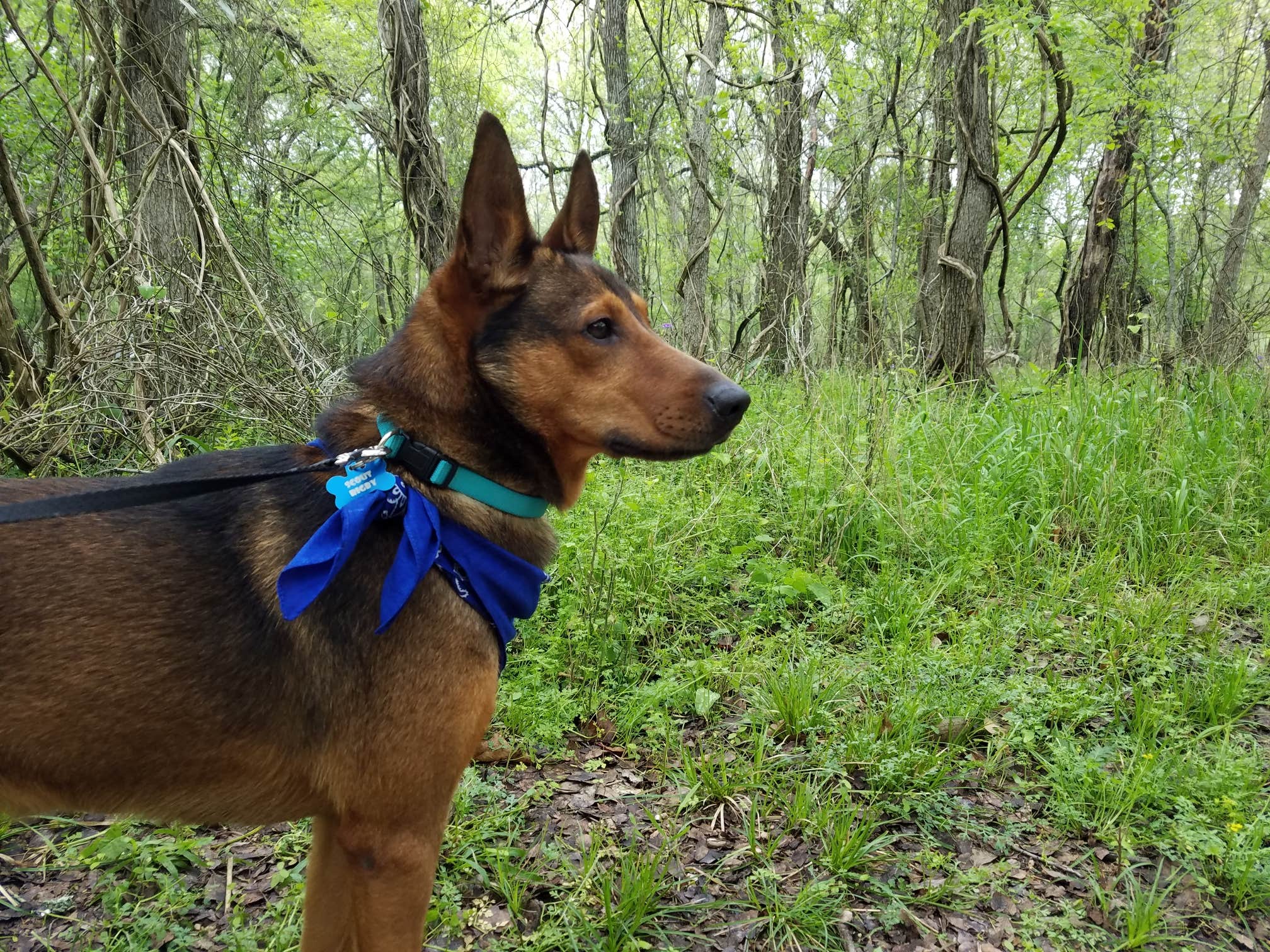 Camper-submitted photo at Palmetto State Park Campground near Seguin, TX