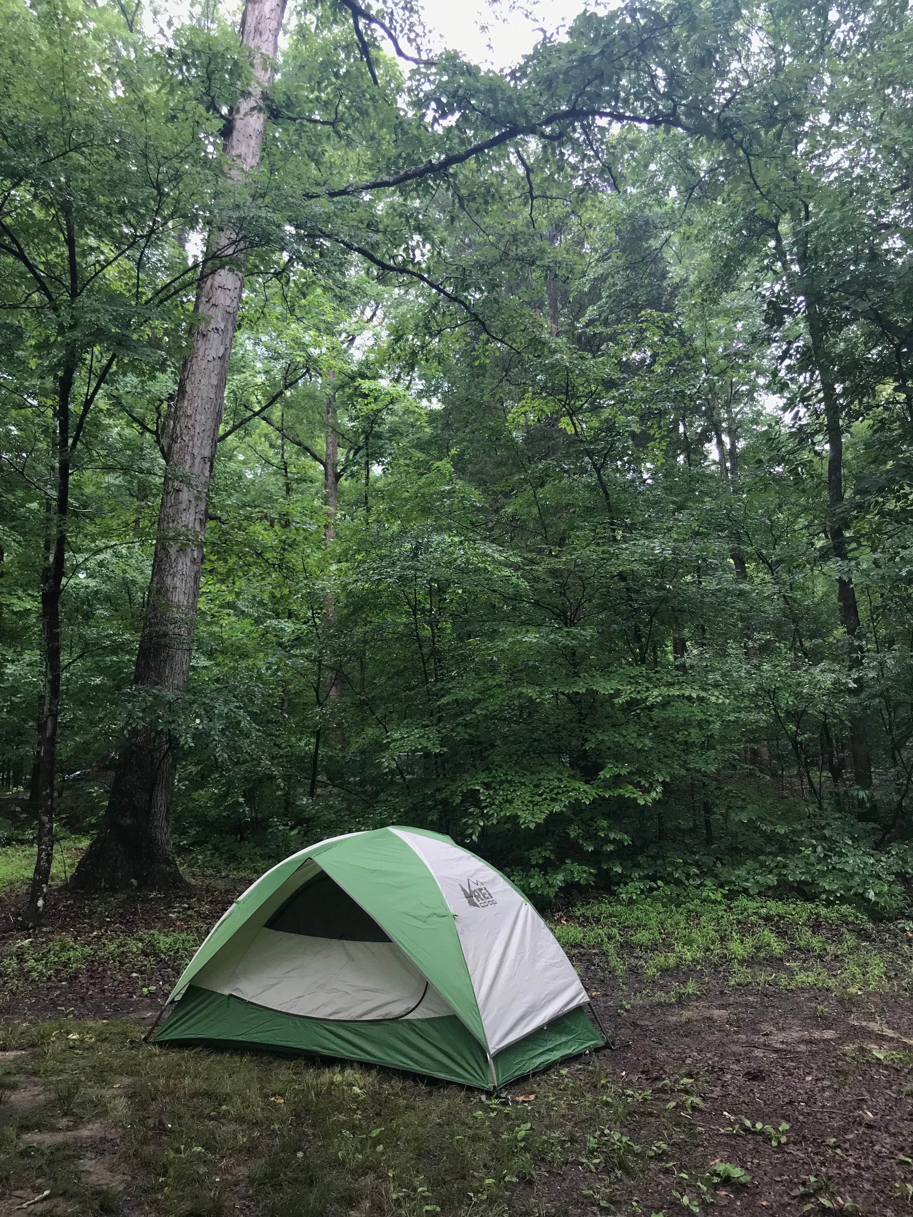 Dani B.'s photo at Mammoth Cave Campground — Mammoth Cave National Park near Nolin River Lake