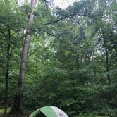 Review photo of Mammoth Cave Campground — Mammoth Cave National Park by Dani B., June 12, 2018
