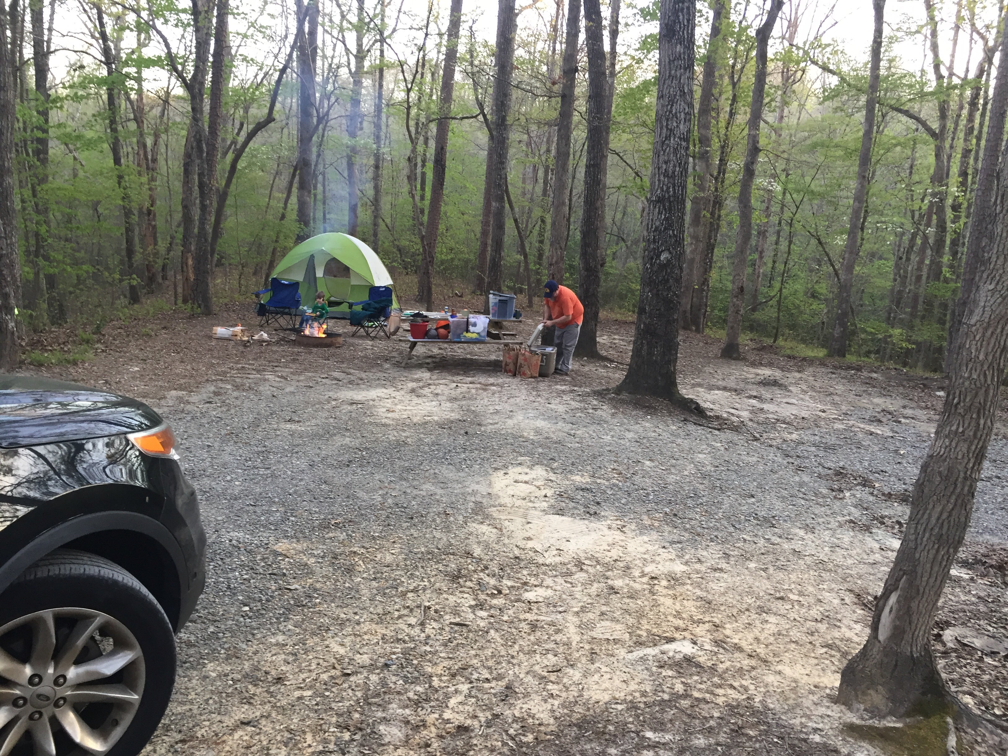 Camper submitted image from Kings Mountain — Kings Mountain State Park - 3