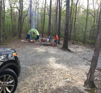 Camper-submitted photo from Kings Mountain — Kings Mountain State Park