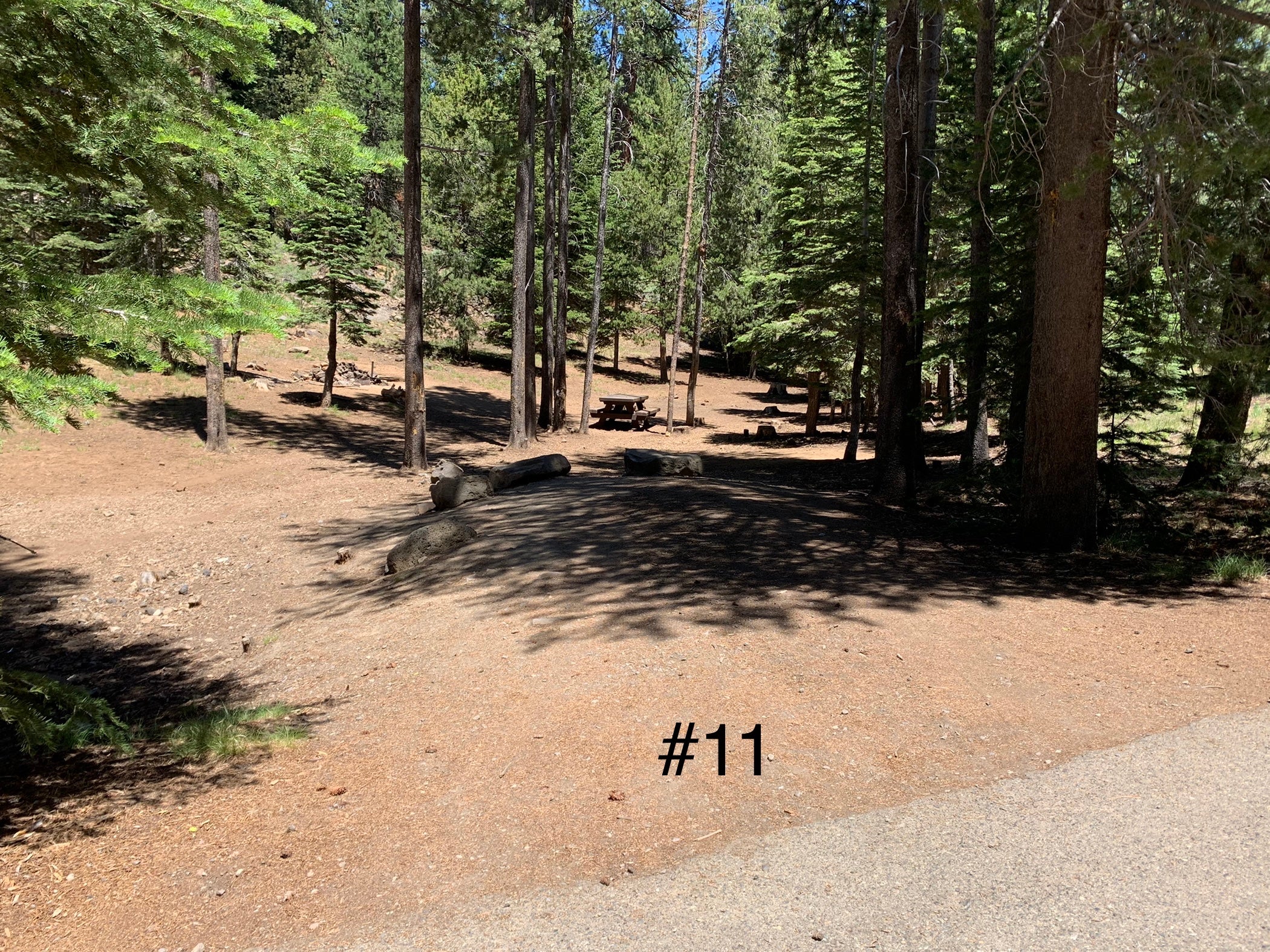 Camper submitted image from Crater Lake Campground - 1