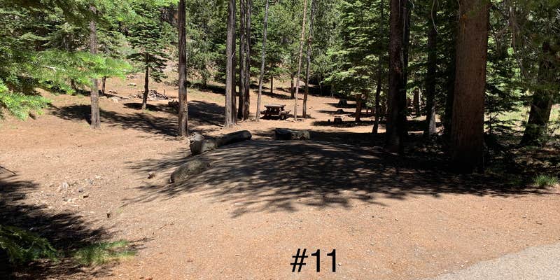 Camper submitted image from Crater Lake Campground