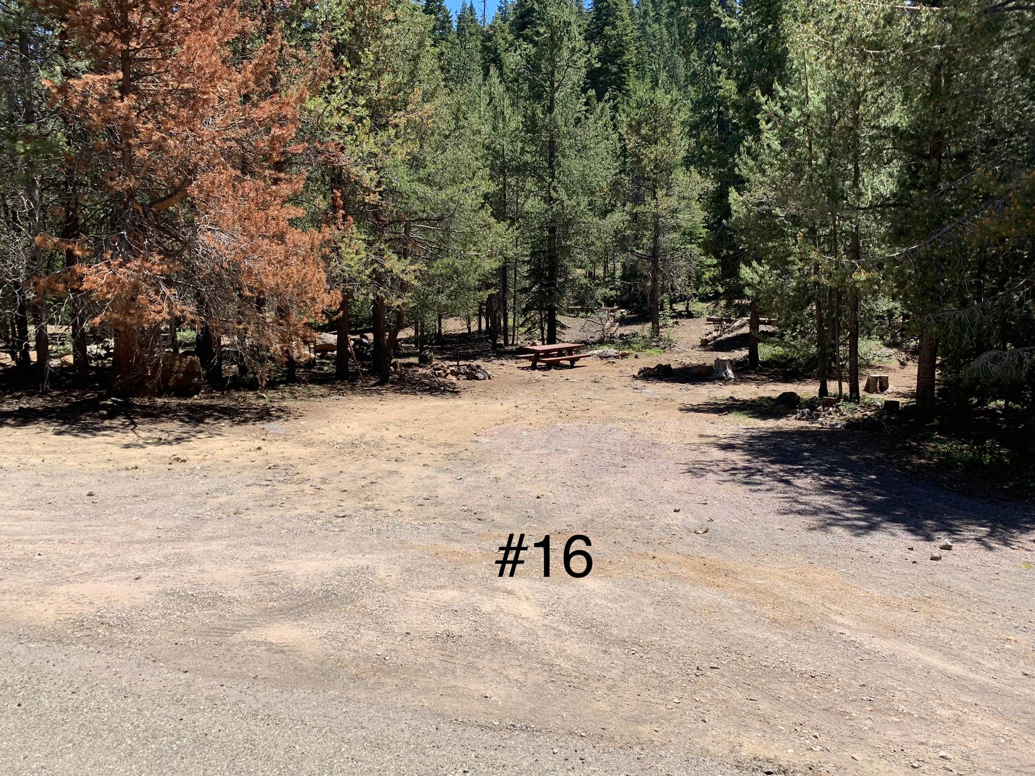 Camper-submitted photo at Crater Lake Campground near Lassen National Forest
