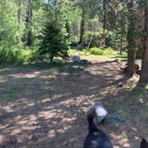 Review photo of Crater Lake Campground by Susan R., June 27, 2021